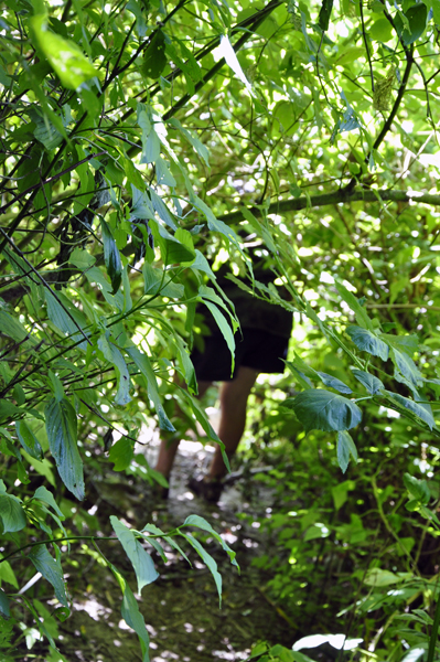 Lee Duquette on a skinny trail